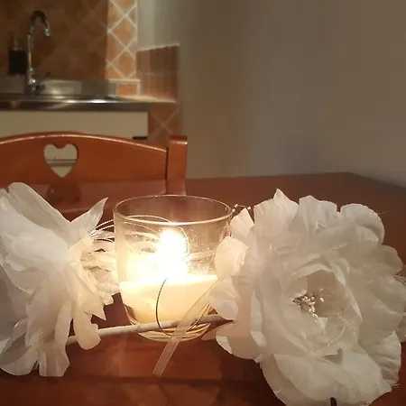 Monolocale In Centro A 公寓 *